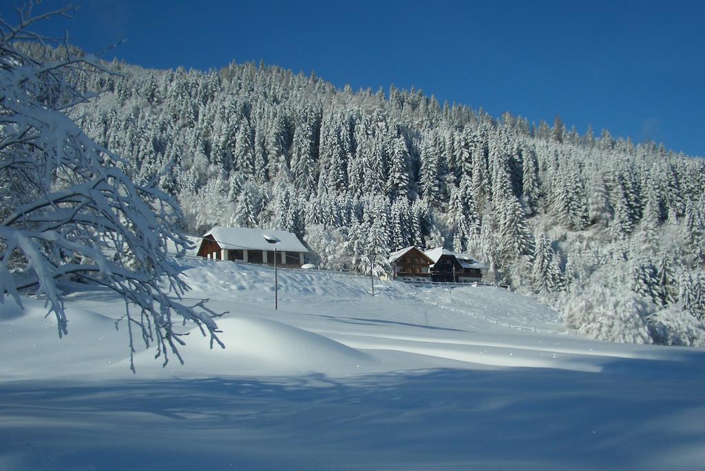 Gasthof Thurnerhof Untertweng Eksteriør bilde